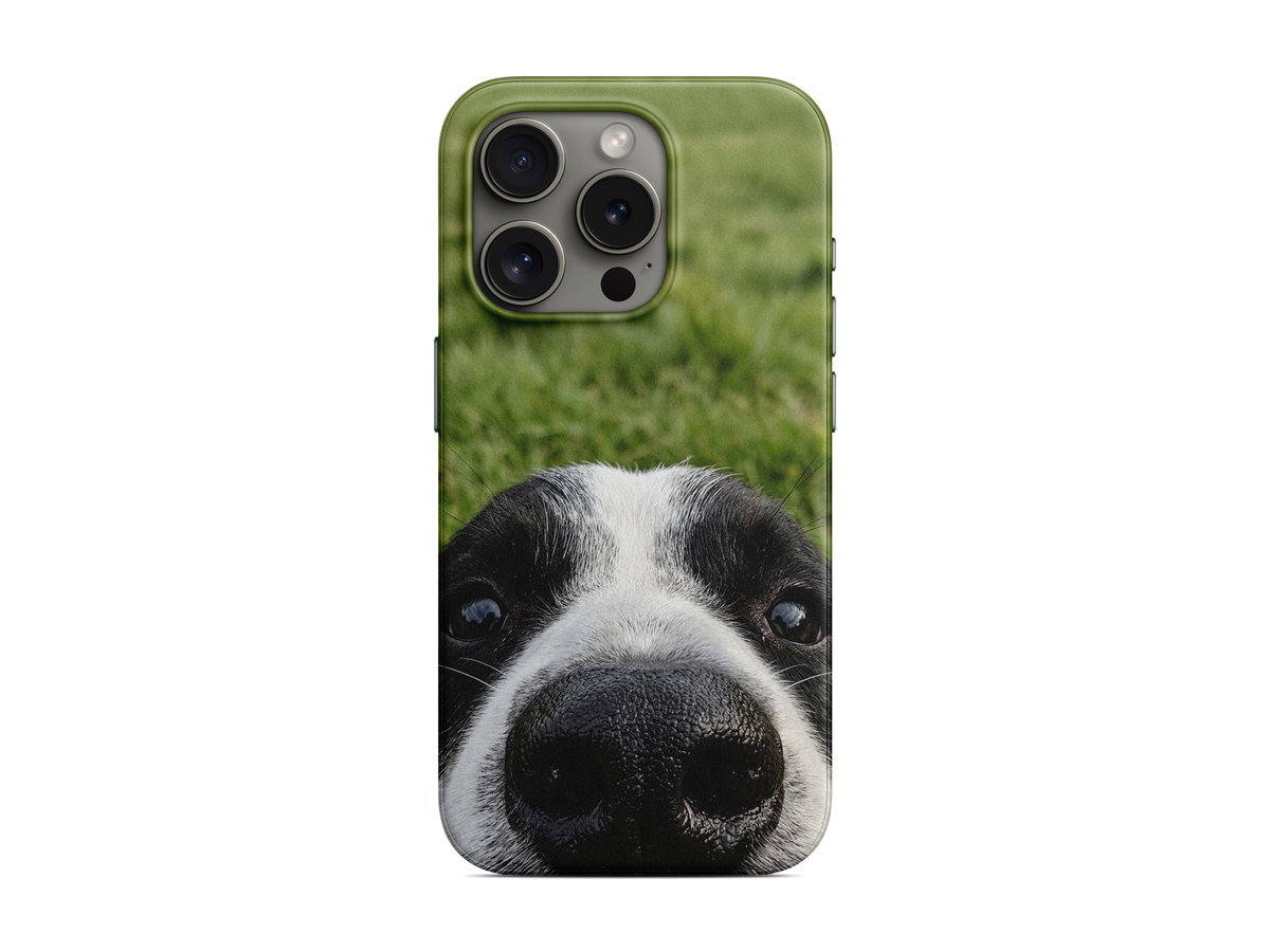 Çimenlerde Köpek Telefon Kılıfı (L238)