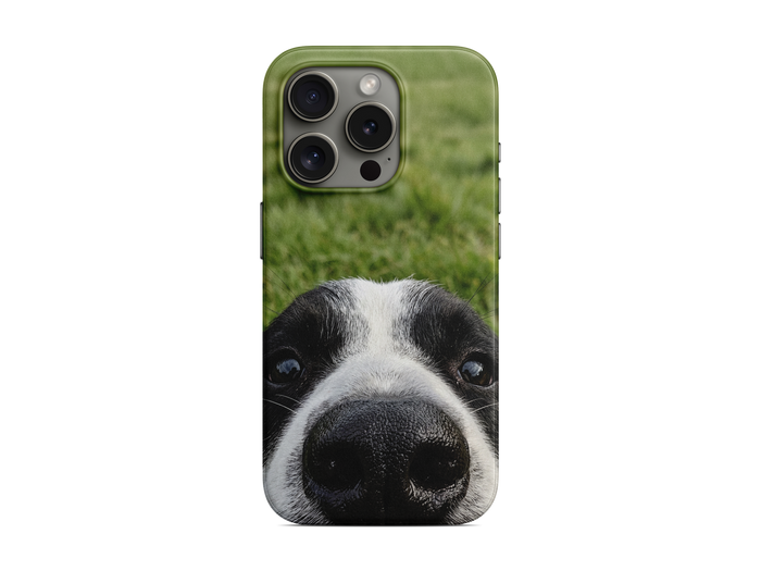 Çimenlerde Köpek Telefon Kılıfı (L238)